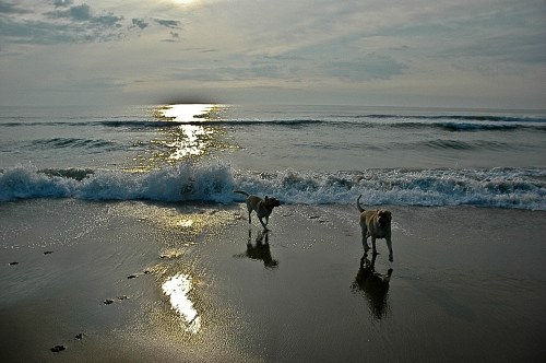 20090627-06_29_09-8 20090627-06_29_09-8