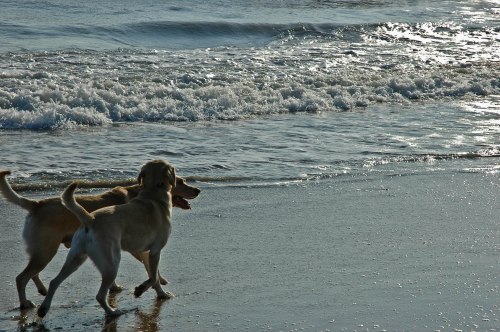 20090207-02_07_09-46 copy.jpg